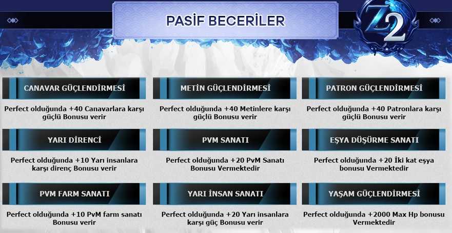 Zeya2Global Pasif Beceriler